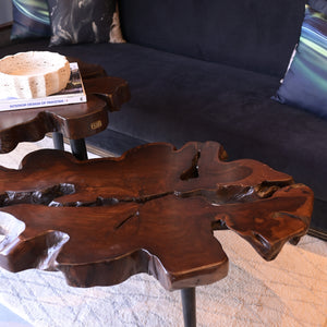 Sheesham centre table set