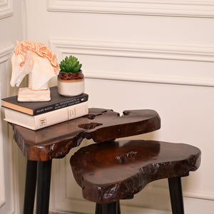 Sheesham Nesting table set of 2