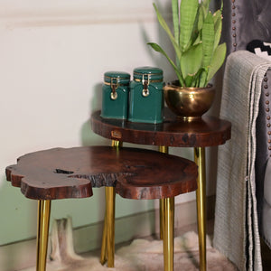 Nesting Table Set of 2 With Golden Legs